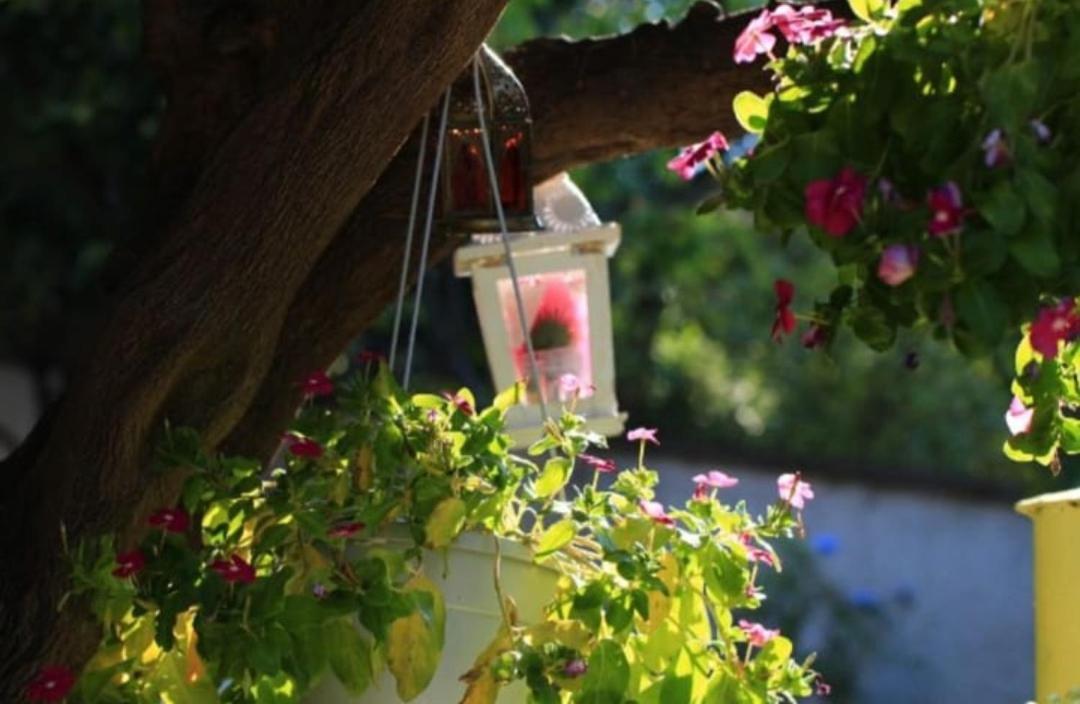 B&B Terramare Montiano  Zewnętrze zdjęcie