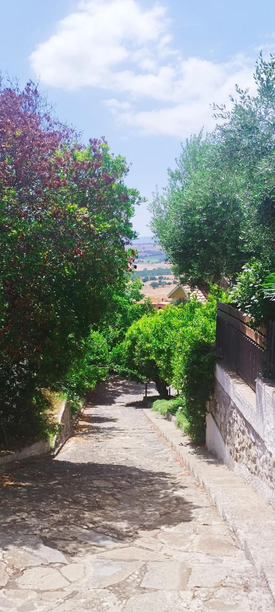 B&B Terramare Montiano  Zewnętrze zdjęcie